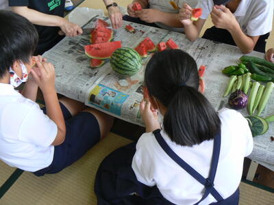 スイカをいただきます