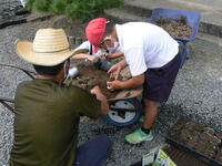 10月8日の花植えボランティアの様子
