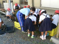 10月15日の花植えボランティアの様子