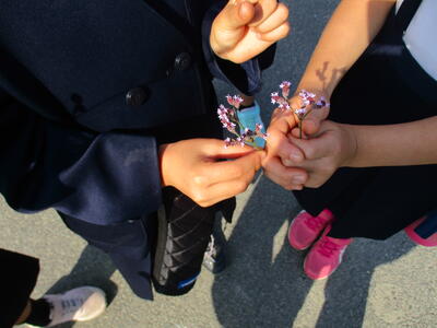 自然とのふれあい