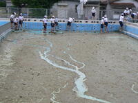 1・2校時　6年生