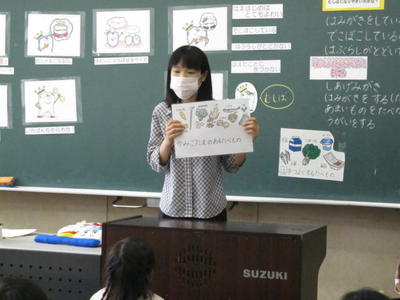 歯を強くする食べ物