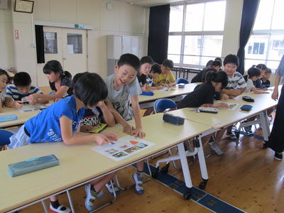 動物の歯の特徴