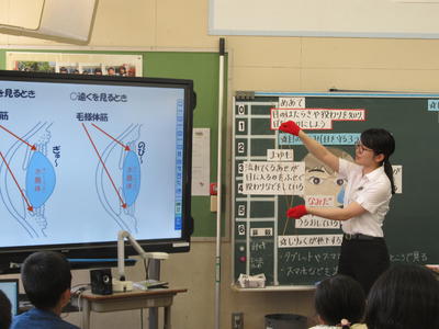 毛様体筋の説明