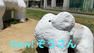 きれいになったぞうさん