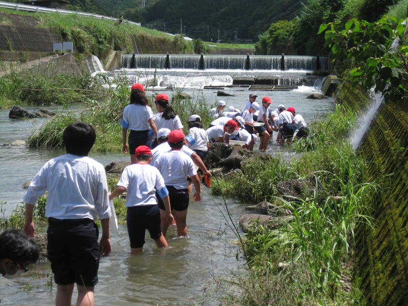 川の観察の様子