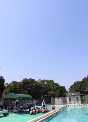 トップページ 玉水小学校