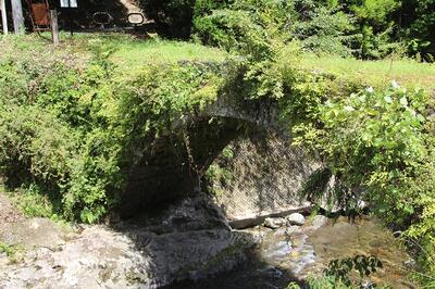 草にかくれている輪石