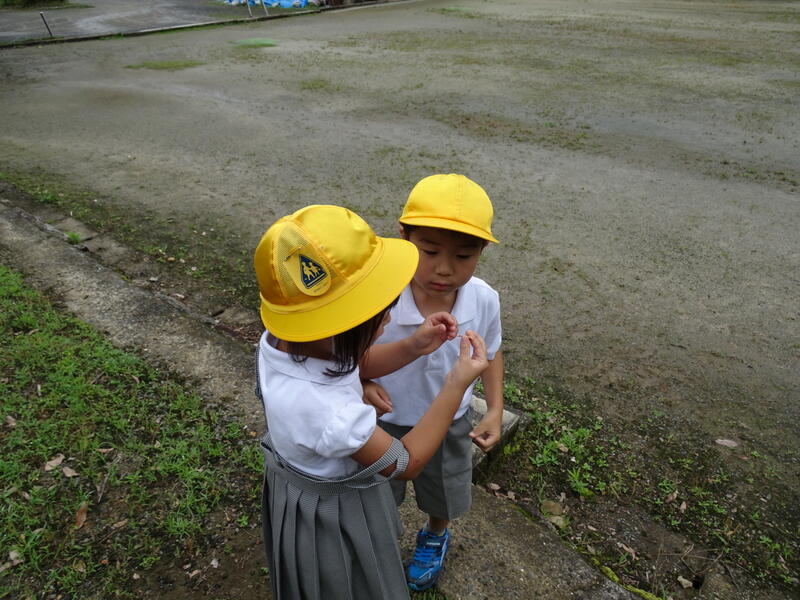 バッタがいたよ～