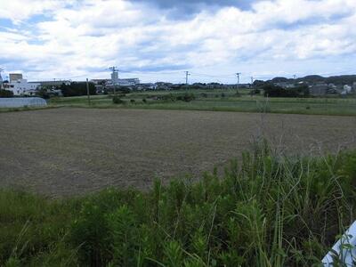 富岡の医師会病院の裏の広い畑のところ