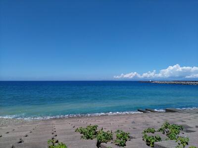 サーフィンもできます。