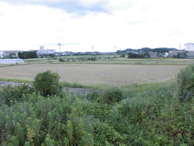 病院の裏あたり