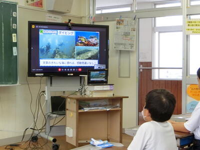 魅力的な教育課程が