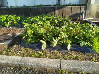 ４月９日の様子