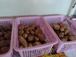 じゃがいもがたくさん
