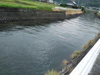 チヌやウナギを釣りに来る人も！