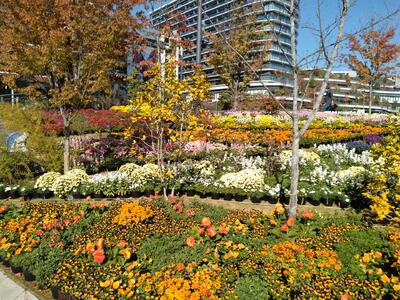 くまもと花博2023