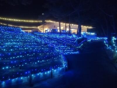 イルミネーション２