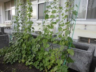 高くなりましたね。どこまで？