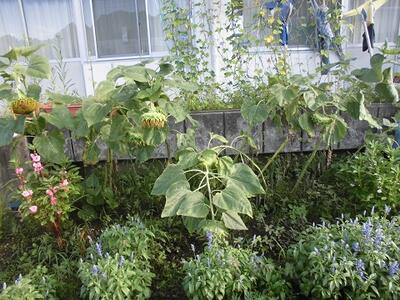 どう変わってきましたか