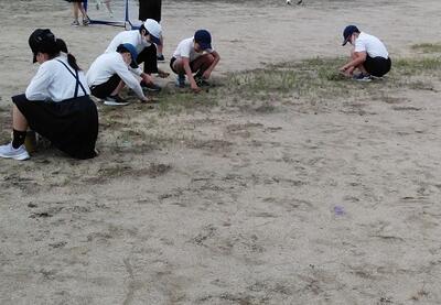 こっちも草取り