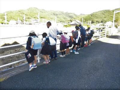 さらに増えました