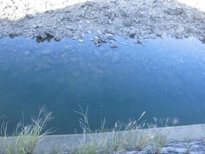 大きな魚の群れが見えます