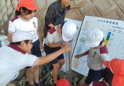 どれくらいの透明度かな