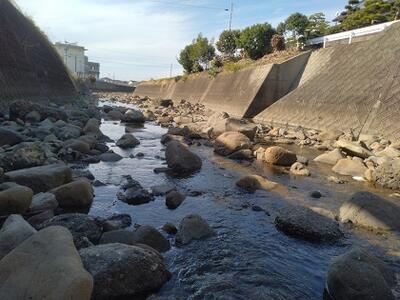 学校のすぐ隣の都呂々川