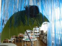 カタツムリもいました！