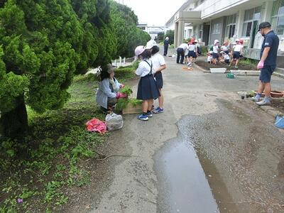 種から苗を育てていただいて