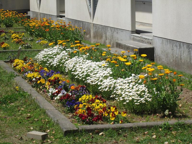 ３年１組です。