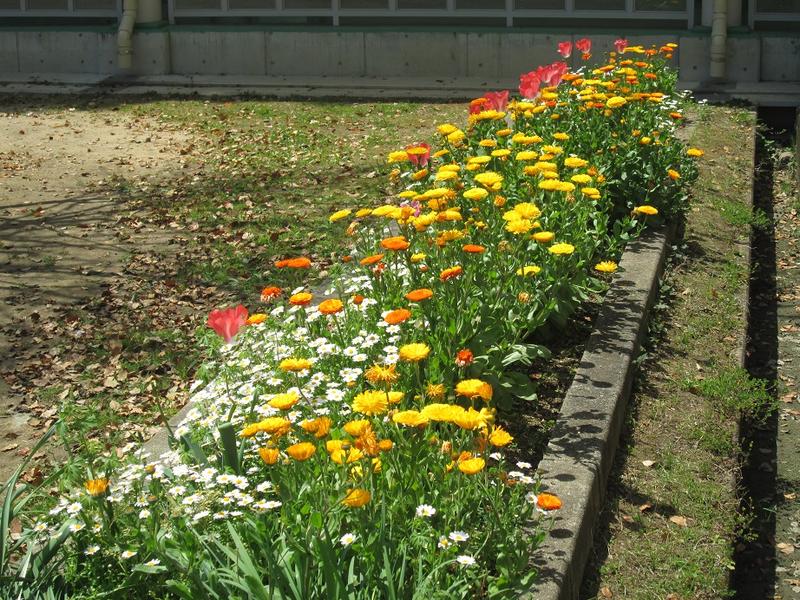 ３年３組前です。