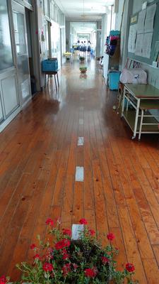 廊下に置いてある植木鉢