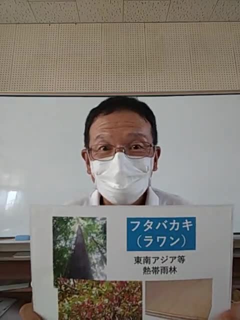 夏休み実験教室「飛ぶ種」④