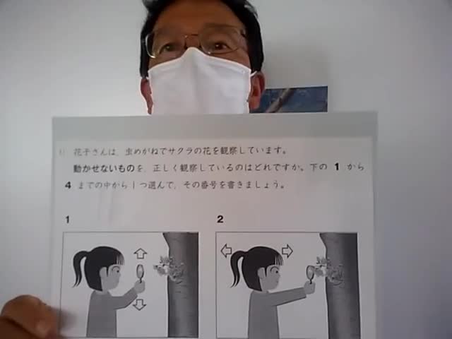 虫めがねの使い方