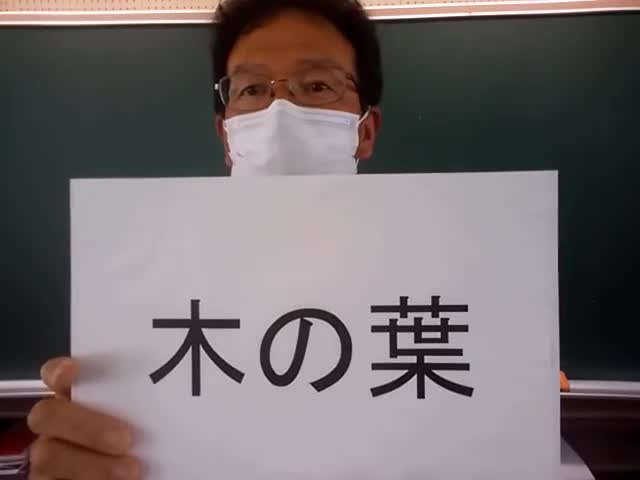 築山小の木の葉