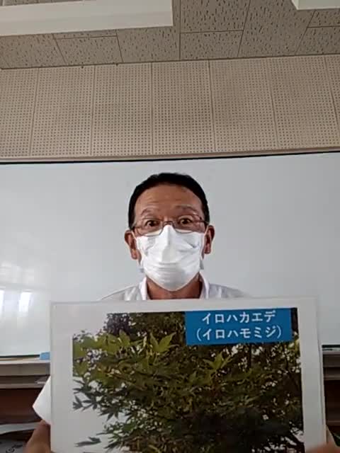 夏休み実験教室「飛ぶ種」③