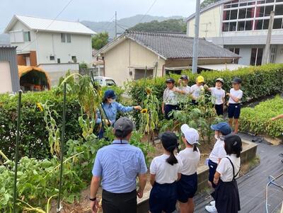 トップページ 天草市立牛深東小学校