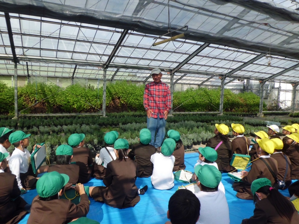 学校生活 ブログ ｎｅｗ 八代市立八千把小学校