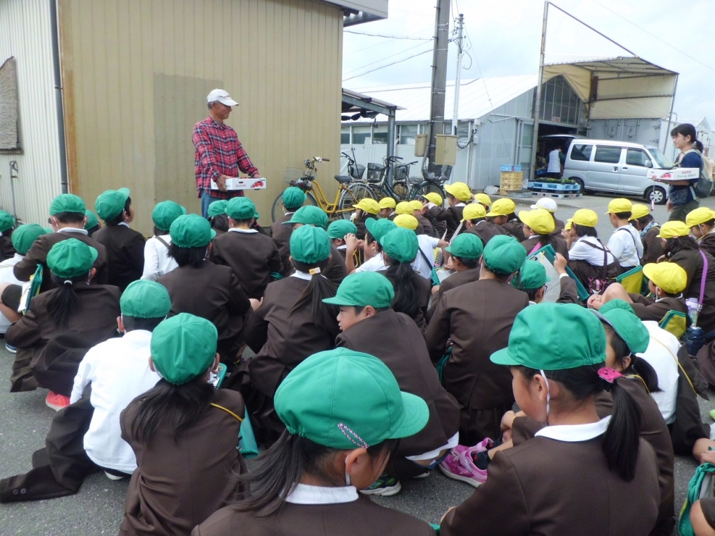 学校生活 ブログ ｎｅｗ 八代市立八千把小学校