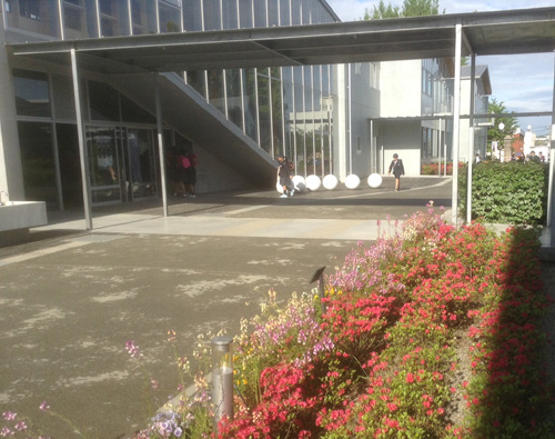 キリシマツツジ