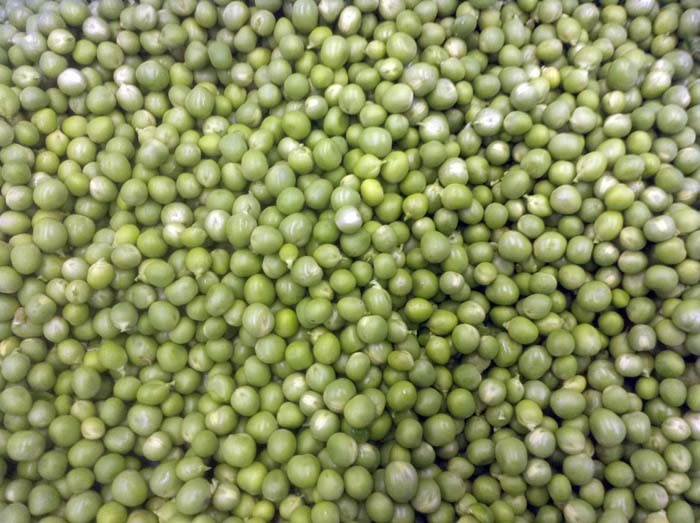 グリンピース