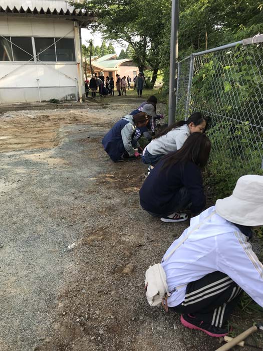 PTA奉仕作業 PTA奉仕作業