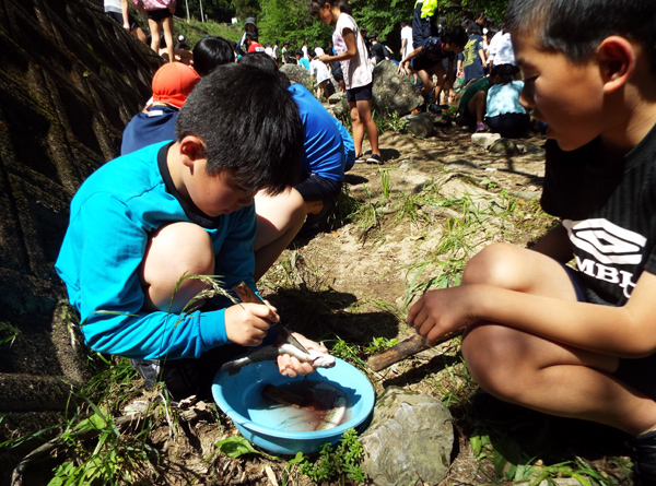 集団宿泊教室 集団宿泊教室