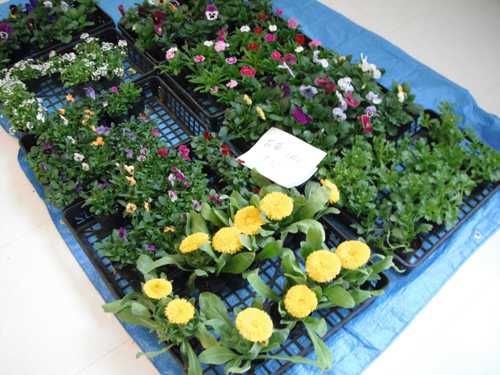 PTAバザー PTAバザー