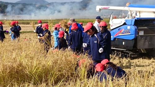 ５年生の思い出