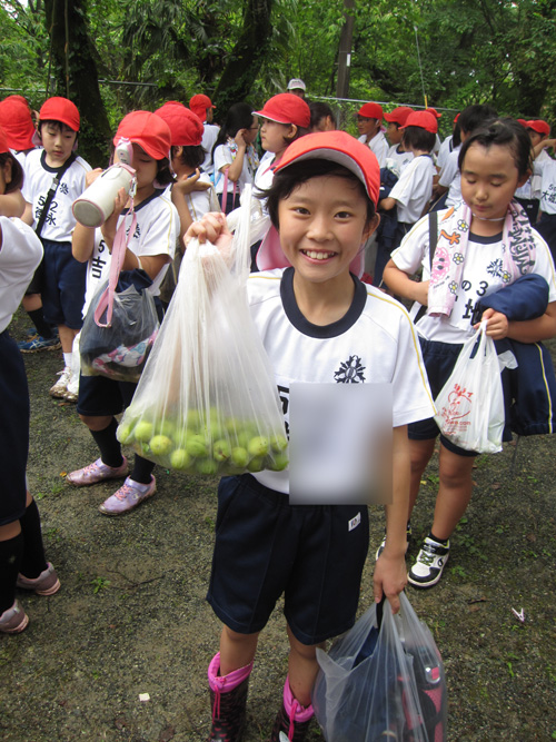 梅ちぎり 梅ちぎり