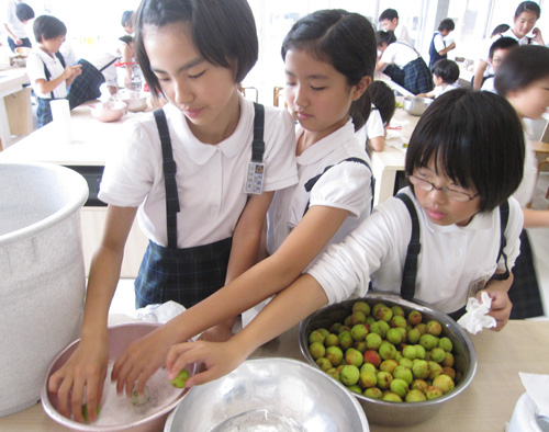 梅ジュースづくり