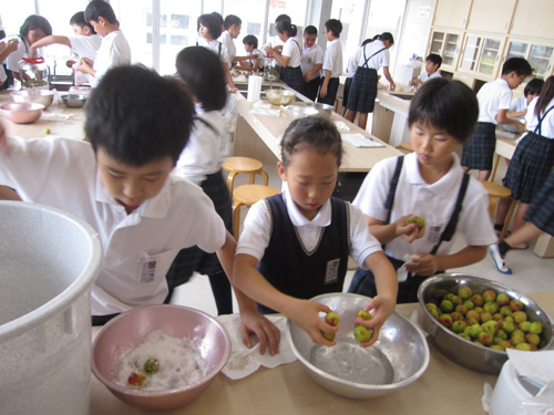 梅ジュースづくり